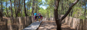 Landes